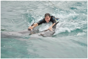 Swimming with the dolphins